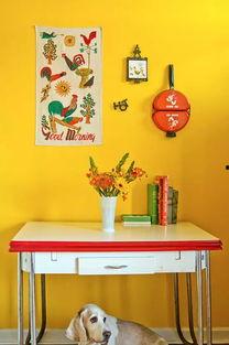 春夏 家庭背景,一个家庭春夏变迁的温馨故事