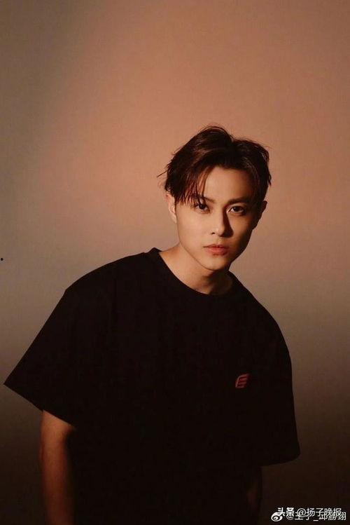 喜鹊娱乐公司的艺人