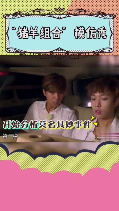 极限挑战搞笑小猪,小猪搞笑大作战，欢乐无限笑翻天